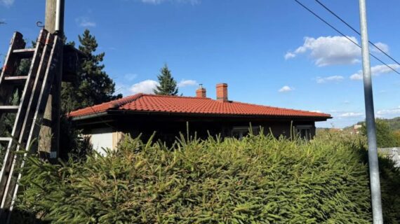 Dachreinigung Sömnitzer Ring