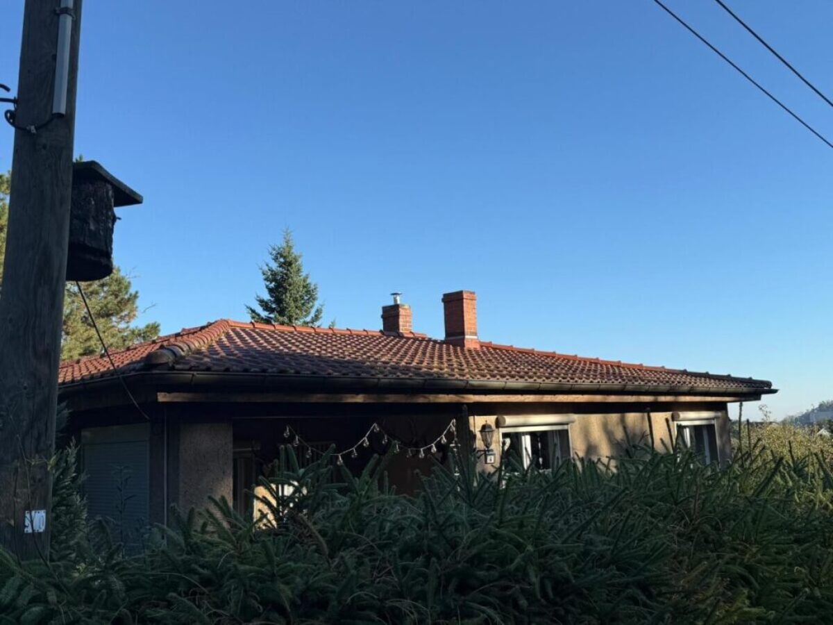 Vor der Dachreinigung im Sömnitzer Ring