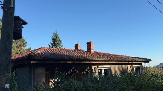 Dachreinigung Sömnitzer Ring