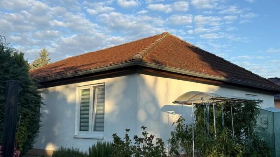 Dachreinigung in Sömnitzer Ring vorher nachher