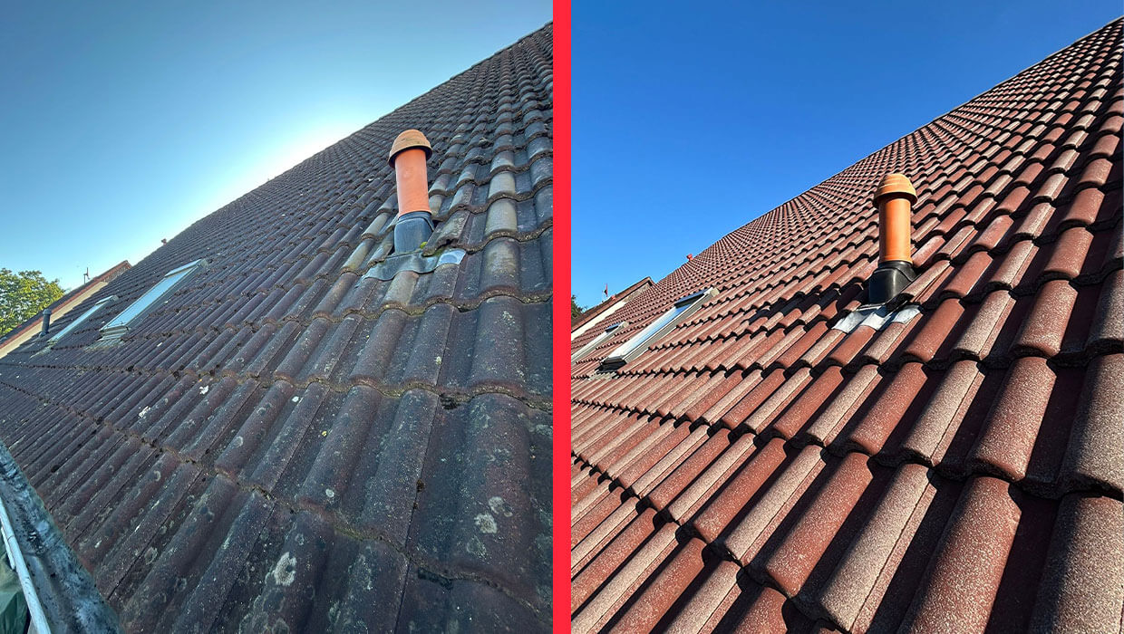 Dachreinigung in Brandenburg