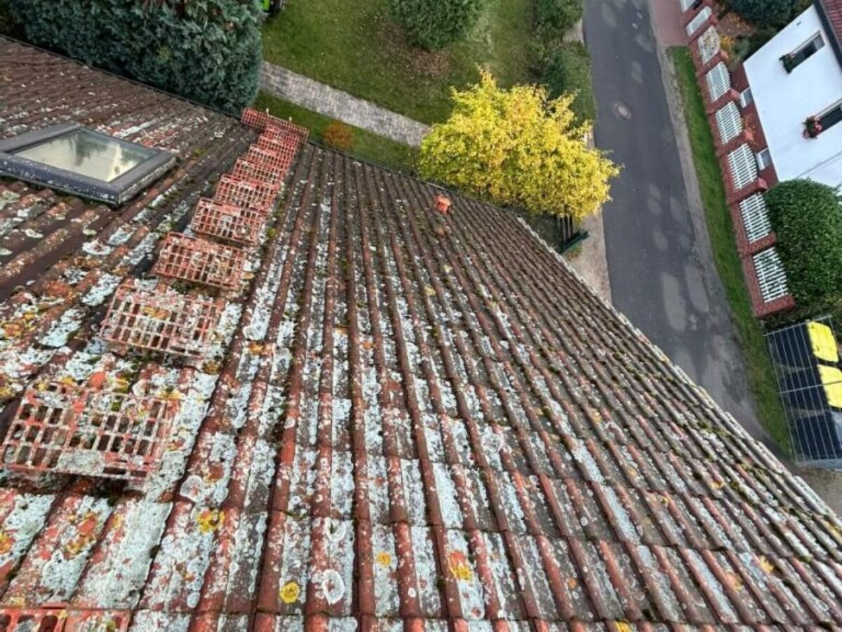 Dachreinigung in Möser - vorher Dachreinigung in Möser - vorher