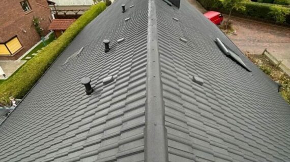 Dachreinigung Dachbeschichtung Gifhorn