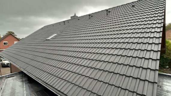 Dachreinigung und Dachbeschichtung Gifhorn