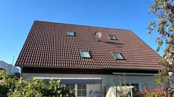 Dachreinigung Brandenburg