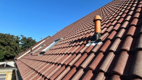 Dachreinigung in Brandenburg vorher nachher