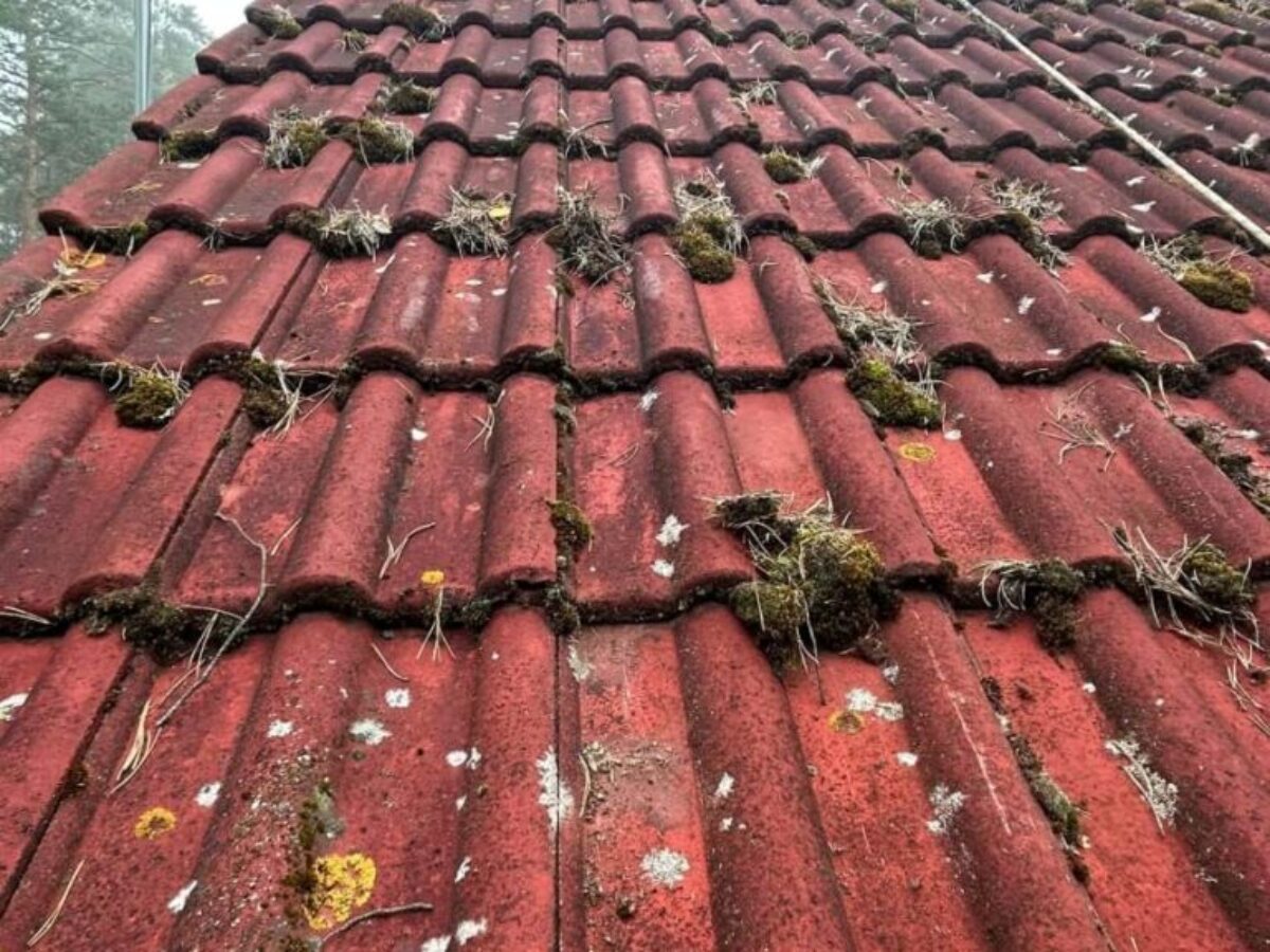 Vor der Dachbeschichtung in Nowa Sól