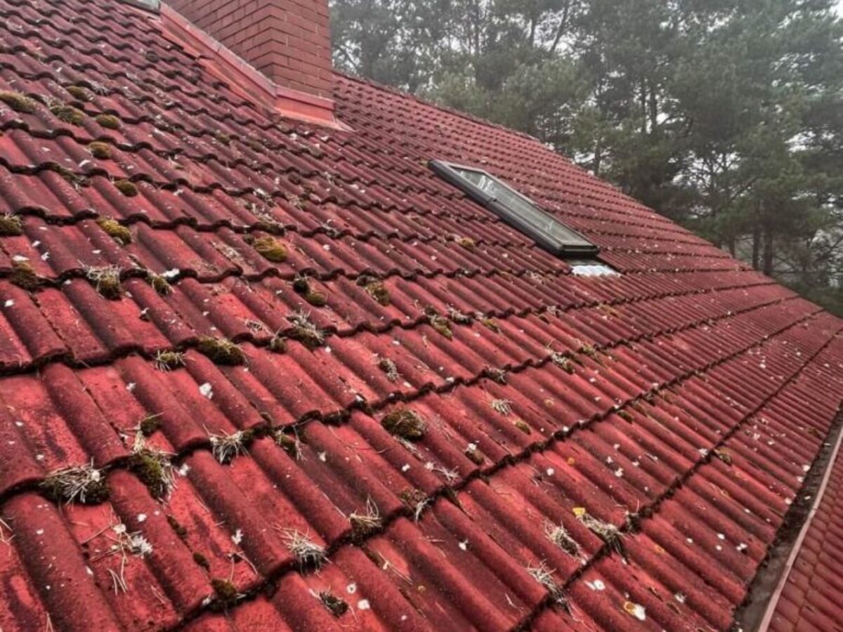 Vor der Dachbeschichtung in Jeziorna