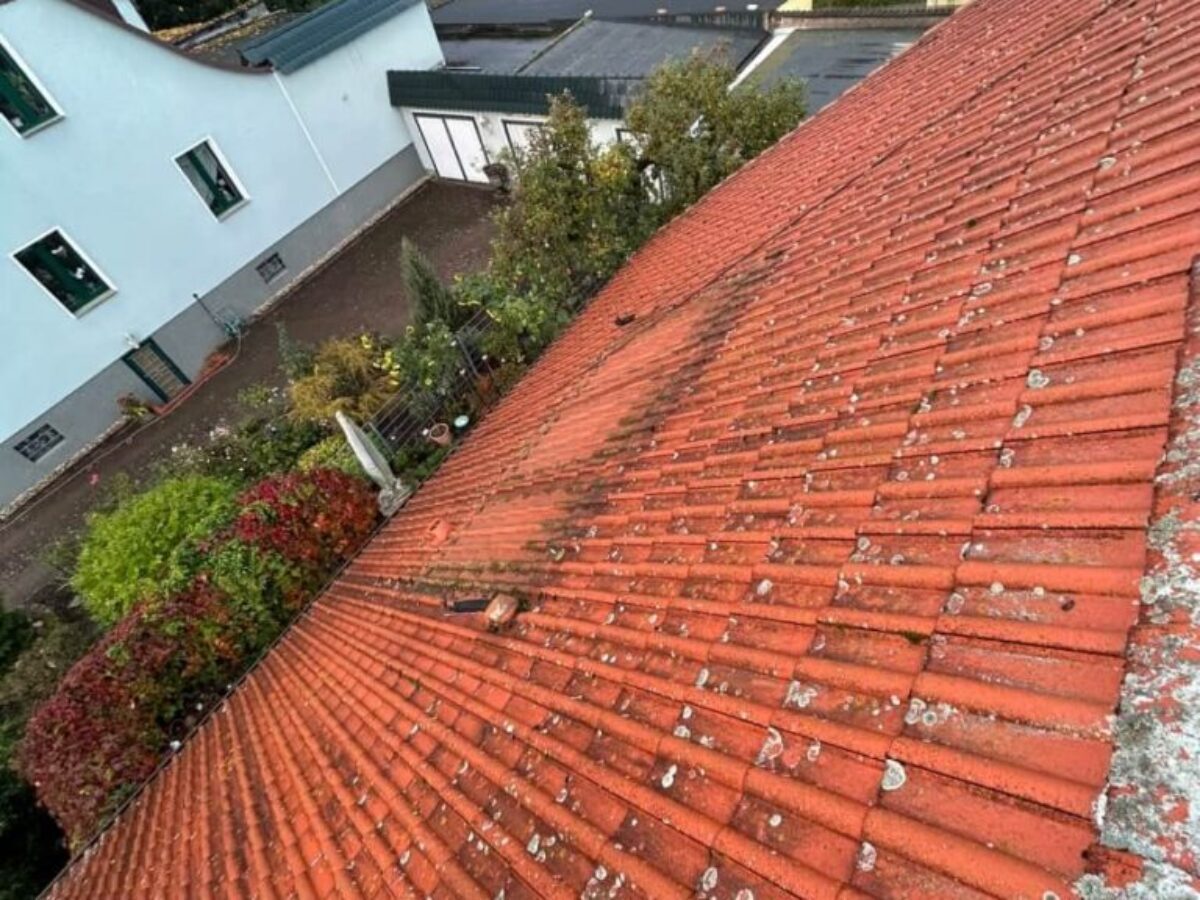 Vor der Dachreinigung in Möser Vor der Dachreinigung in Möser