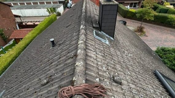 Dachreinigung Dachbeschichtung Gifhorn