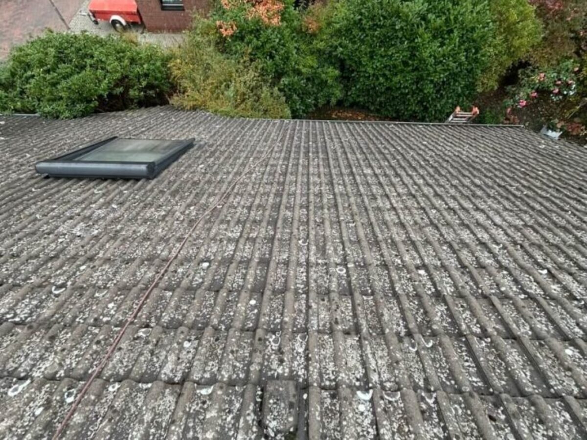 Vor der Dachreinigung und Dachbeschichtung in Gifhorn Vor der Dachreinigung und Dachbeschichtung in Gifhorn