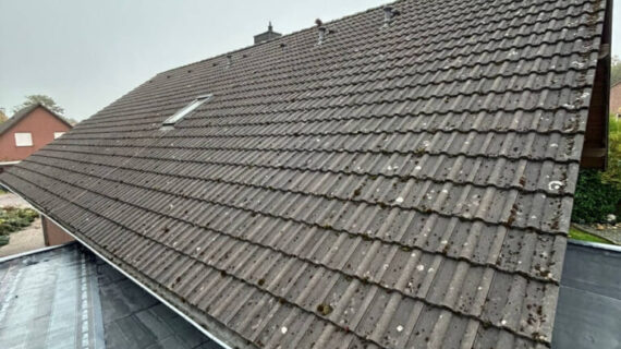 Dachreinigung und Dachbeschichtung Gifhorn