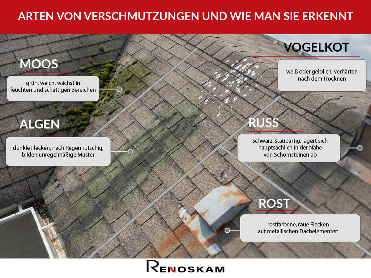 Inforgrafik welche Arten von Verschutzungen auf dem Dach es gibt und wie man sie erkennt