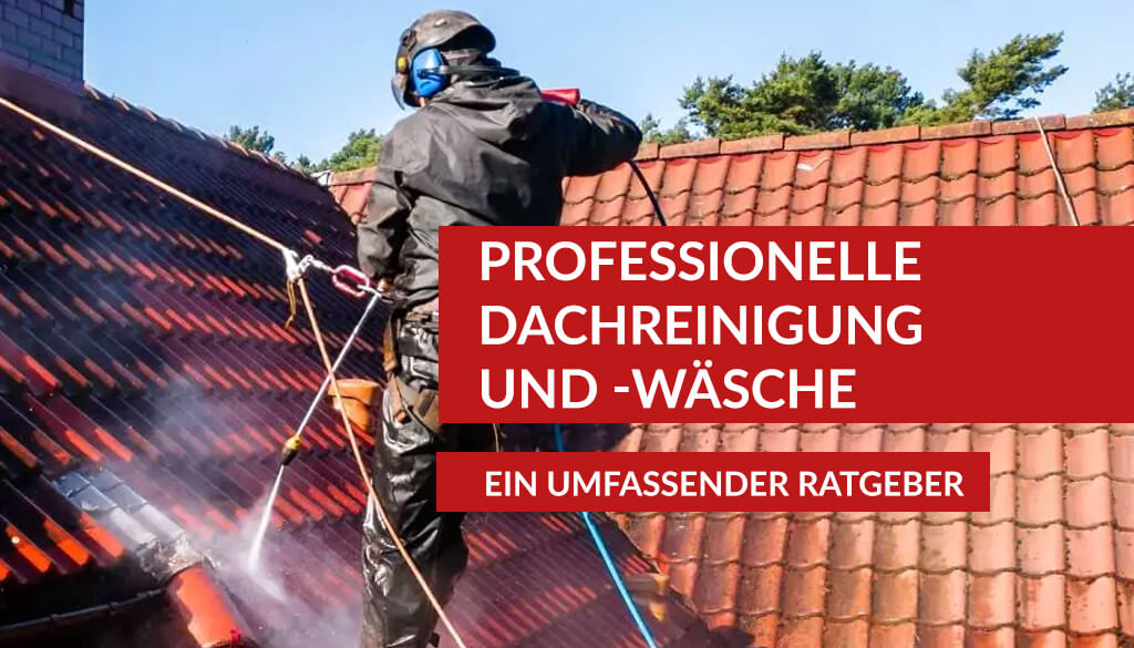 Professionelle Dachreinigung und -wäsche – ein umfassender Ratgeber