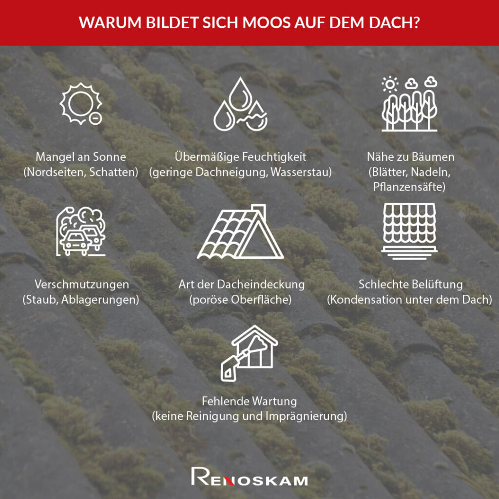 Infografik mit den Ursachen warum bildet sich Moos auf dem Dach