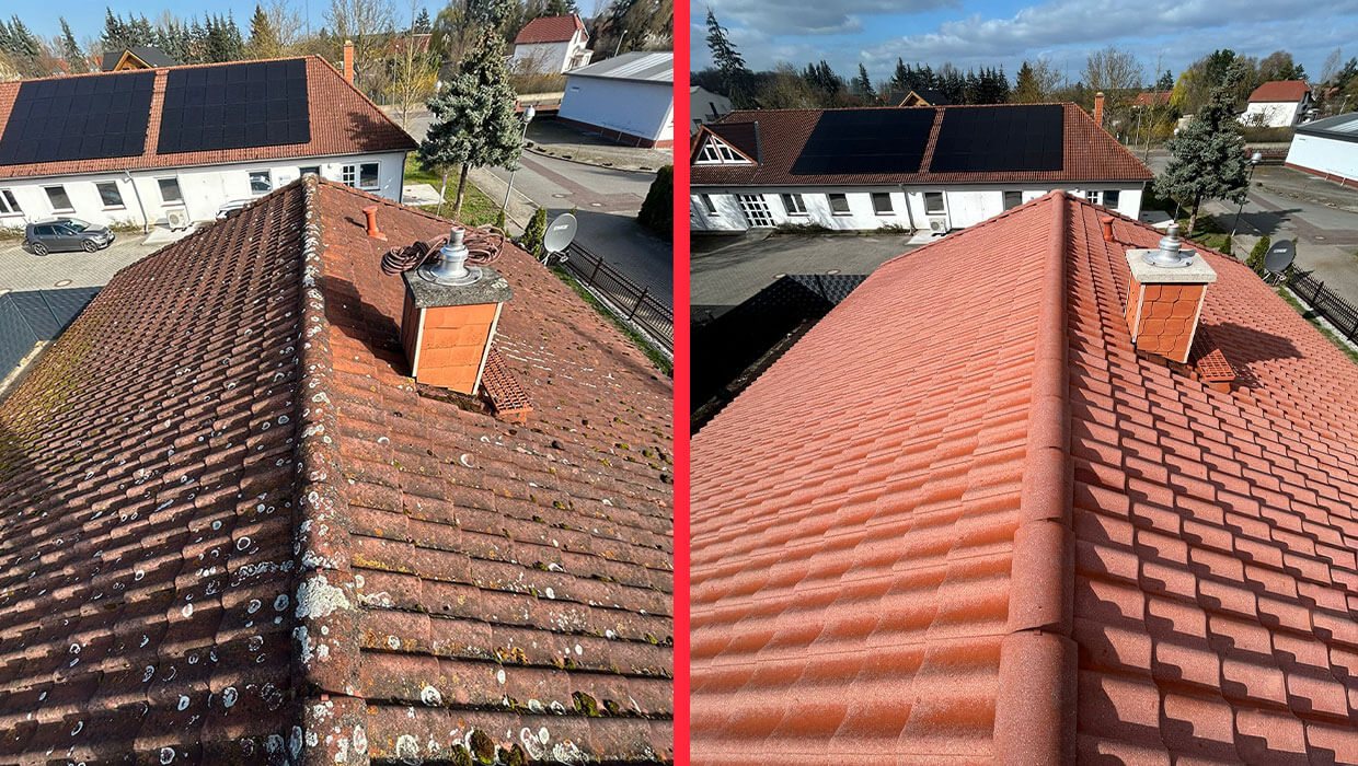 dachreinigung und -imprägnierung Elbe-Parey