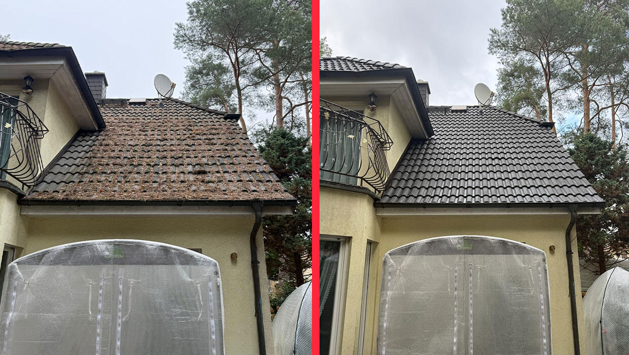 Dach frei von Belägen und Nadelresten Berlin