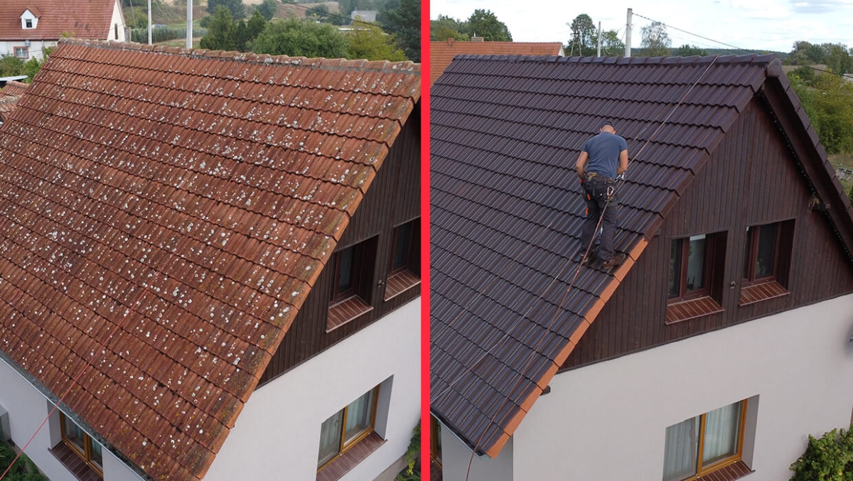 Dachreinigung Dachbeschichtung Świebodzin