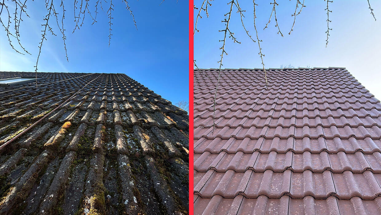 Dachreinigung und Imprägnierung in Berlin