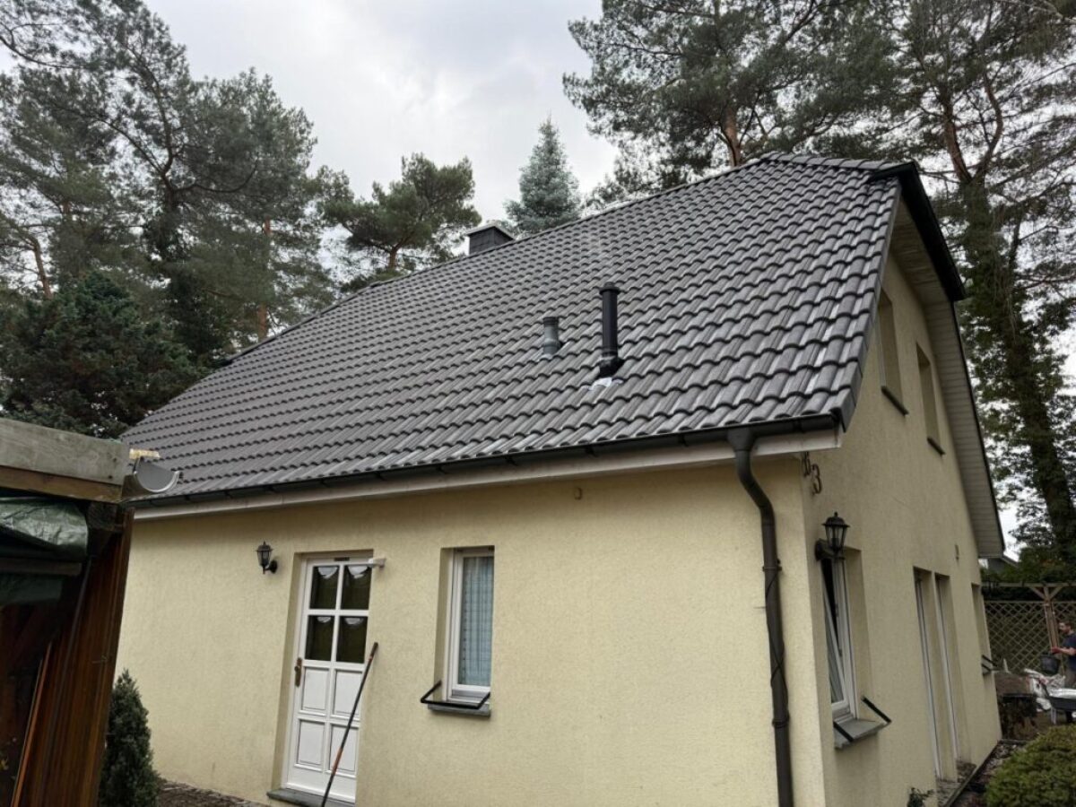 Nachher - Dach frei von Belägen und Nadelresten in Berlin