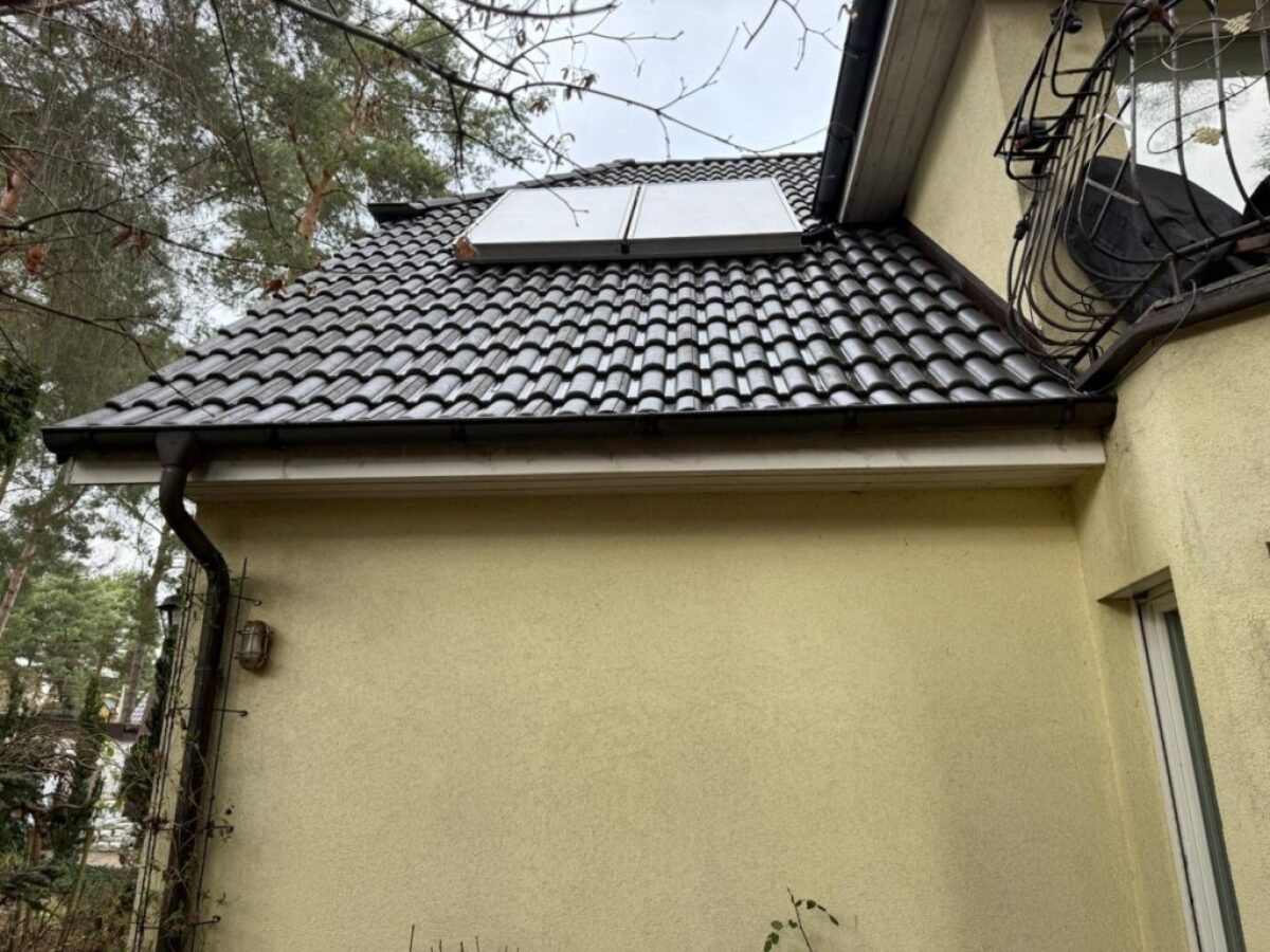 Nachher - Dach frei von Belägen und Nadelresten in Berlin