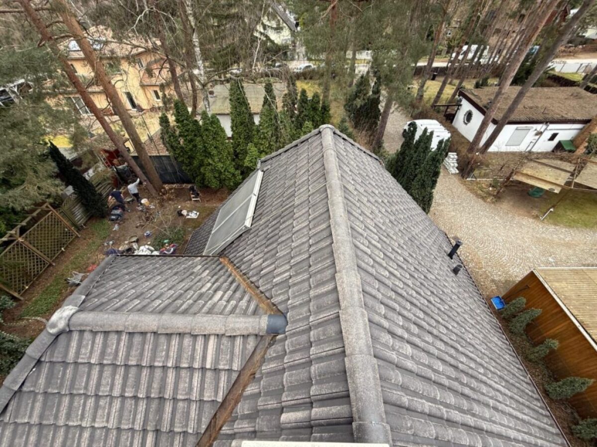 Nachher - Dach frei von Belägen und Nadelresten in Berlin Nachher - Dach frei von Belägen und Nadelresten in Berlin