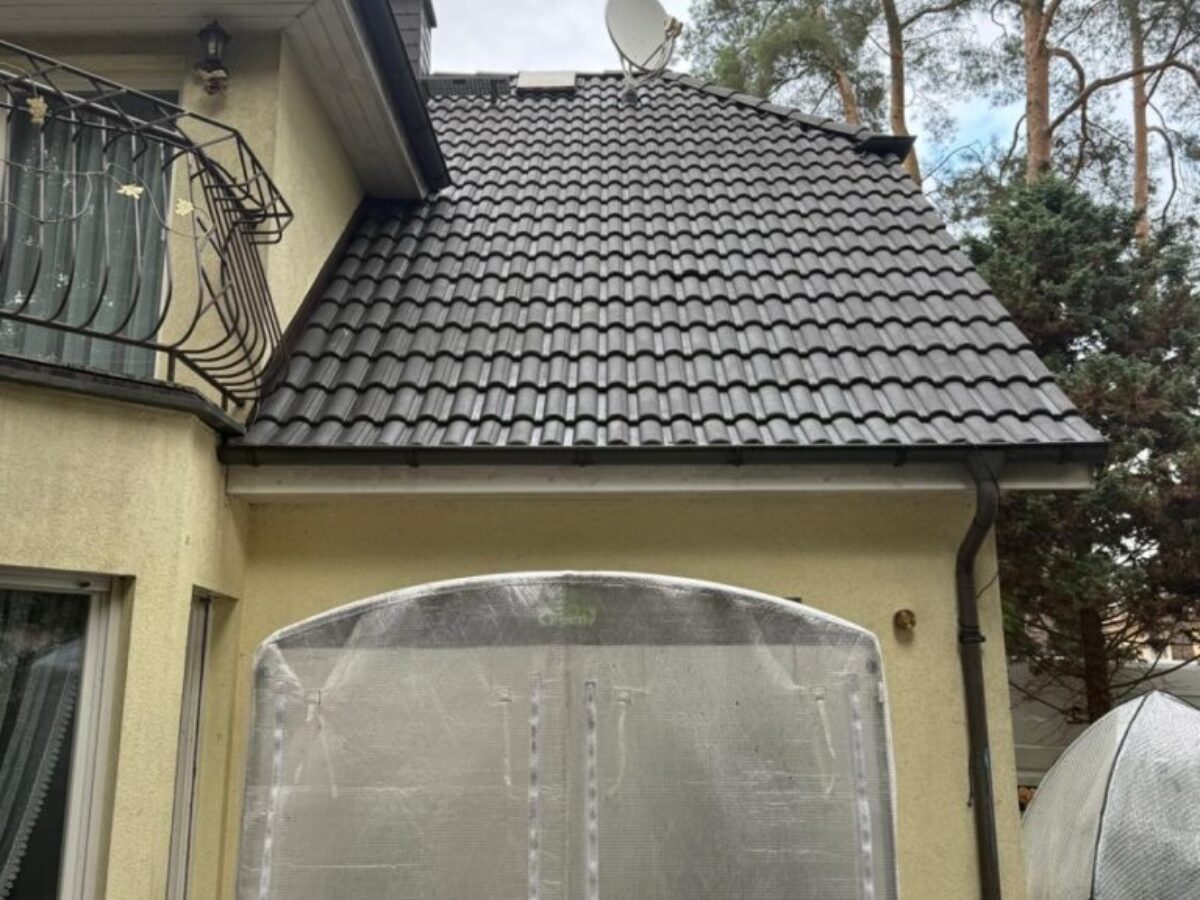 Nachher - Dach frei von Belägen und Nadelresten in Berlin Nachher - Dach frei von Belägen und Nadelresten in Berlin