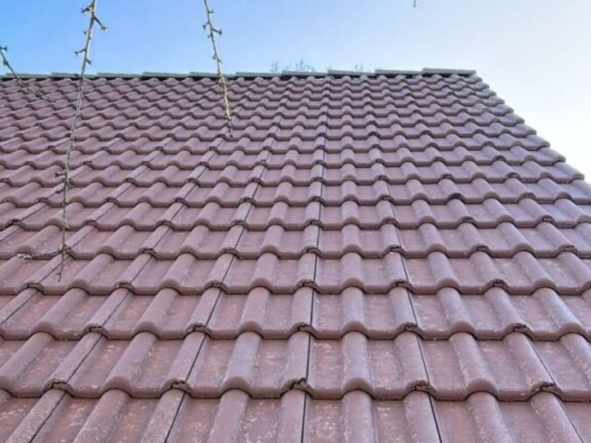 Nachher - Dachreinigung und Imprägnierung - Berlin