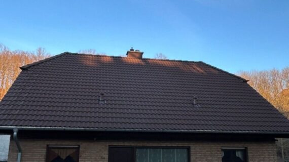 Hainichen Dachreinigung 