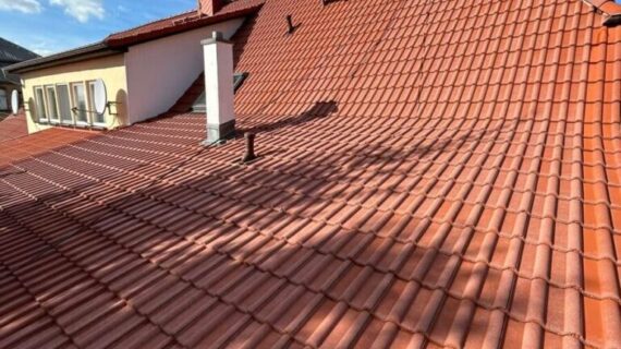 Dachreinigung Süderholz