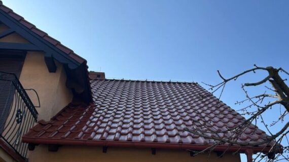 Dachreinigung Dachbeschichtung Gifhorn