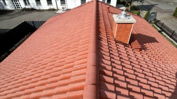 Dachreinigung in Elbe-Parey