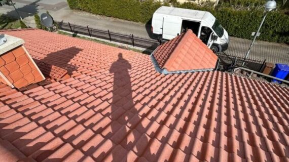 Dachreinigung in Parey