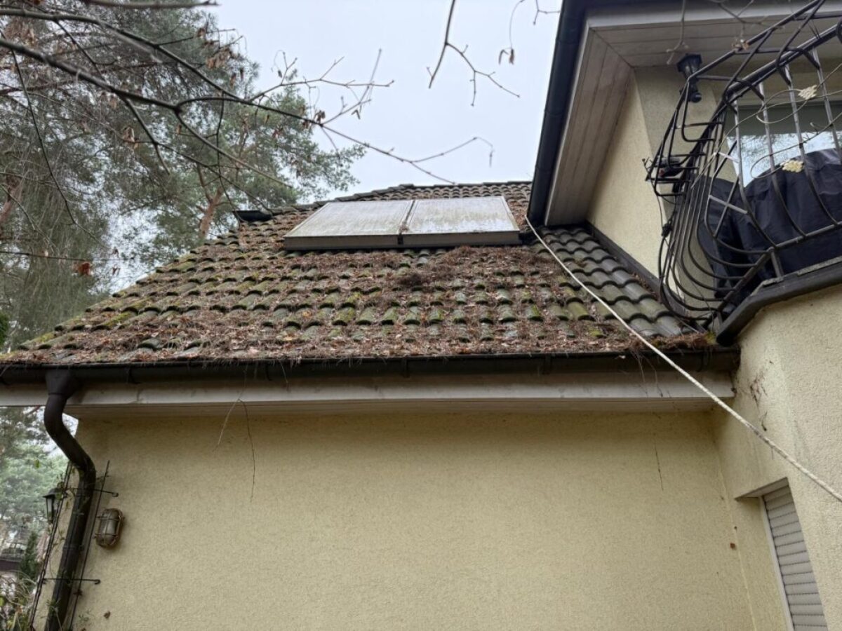 Vorher - Dach frei von Belägen und Nadelresten in Berlin