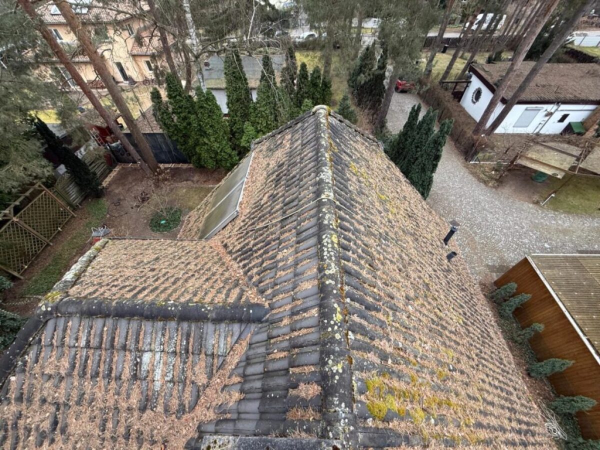 Vorher - Dach frei von Belägen und Nadelresten in Berlin Vorher - Dach frei von Belägen und Nadelresten in Berlin