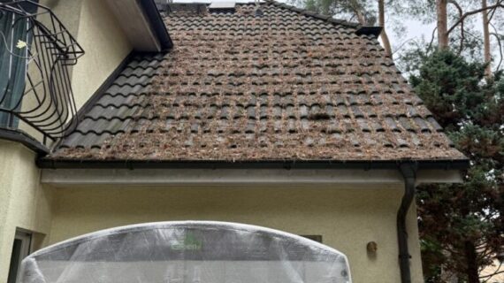 Dachreinigung Berlin