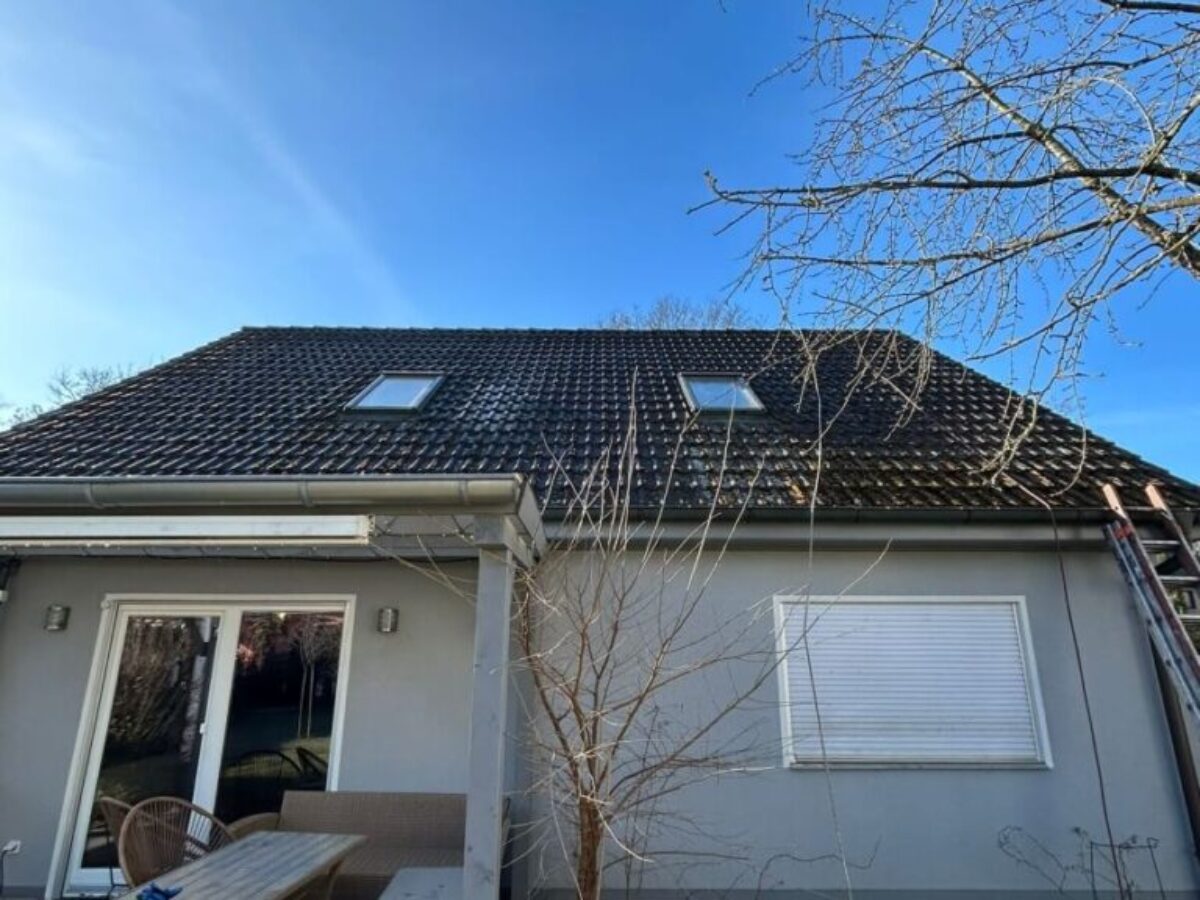 Vorher - Dachreinigung und Imprägnierung - Berlin