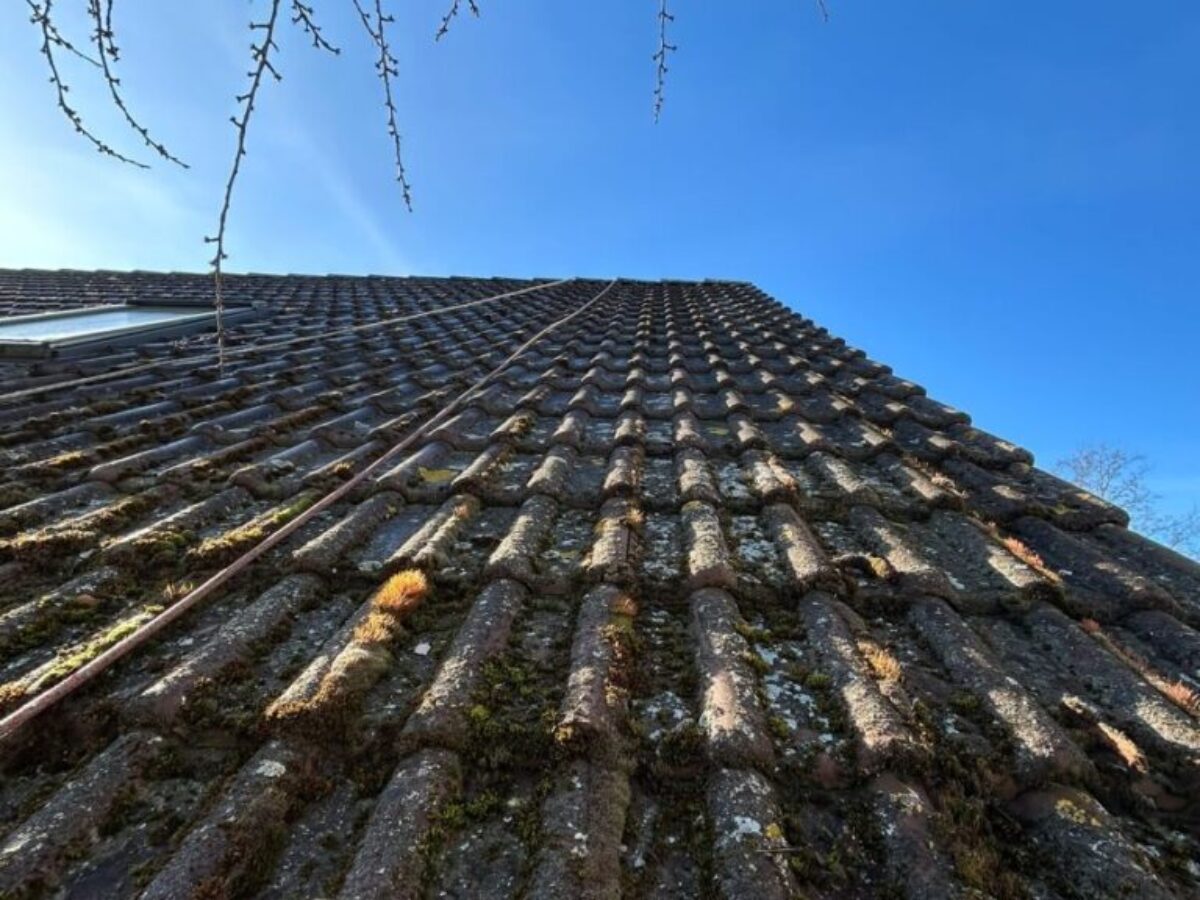 Vorher - Dachreinigung und Imprägnierung - Berlin