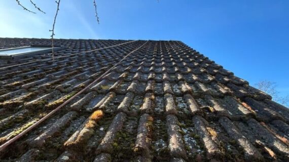 Dachreinigung und Imprägnierung - Berlin