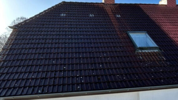 Dachreinigung Süderholz