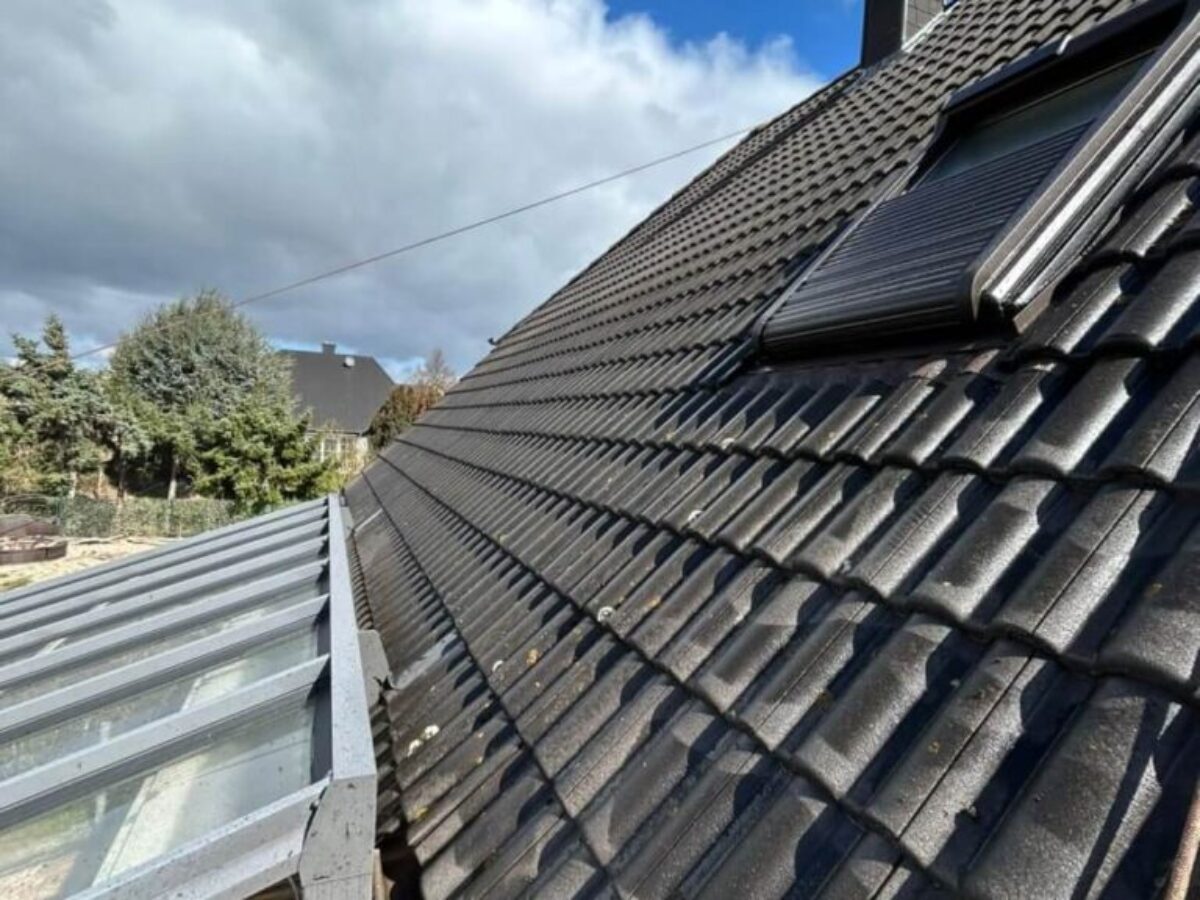 Vorher Dachreinigung in Oschersleben Vorher Dachreinigung in Oschersleben