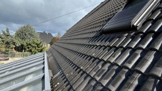 Dachreinigung Dachbeschichtung Gifhorn