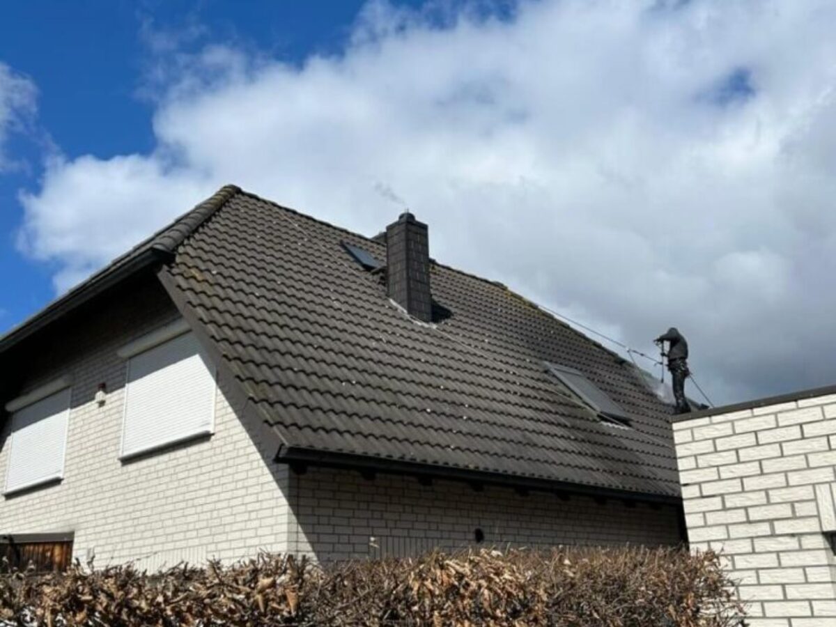 Vorher Dachreinigung in Oschersleben