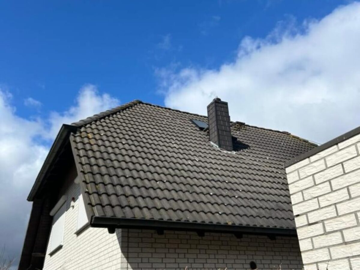 Vorher Dachreinigung in Oschersleben