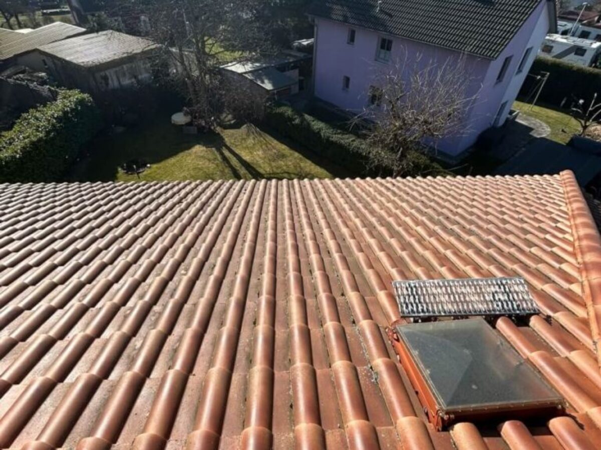 Vorher - Dachreinigung und -imprägnierung in Berlin 2