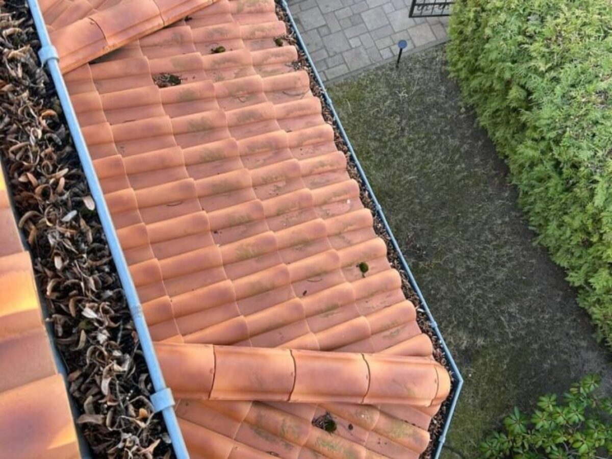 Vorher - Dachreinigung und -imprägnierung in Berlin 5 Vorher - Dachreinigung und -imprägnierung in Berlin 5