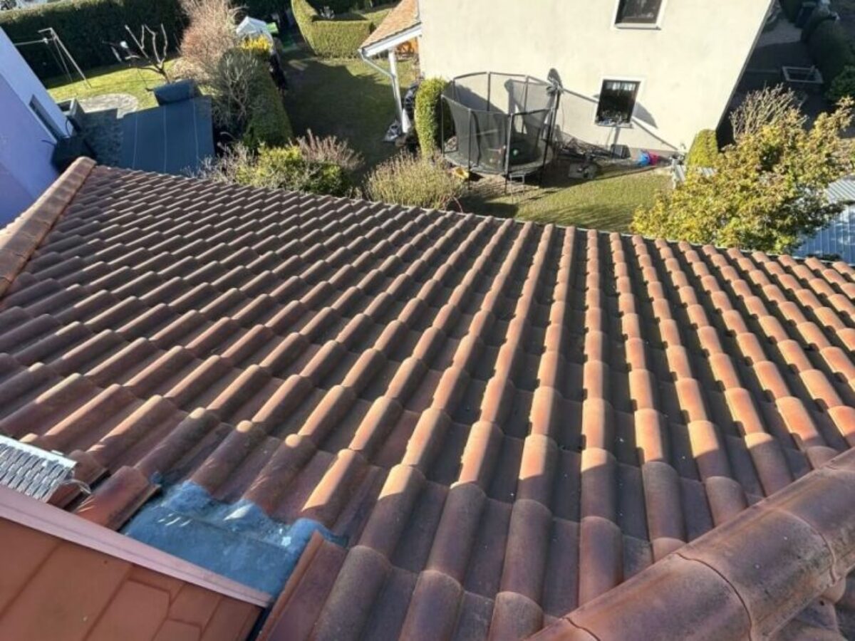 Vorher - Dachreinigung und -imprägnierung in Berlin 6 Vorher - Dachreinigung und -imprägnierung in Berlin 6