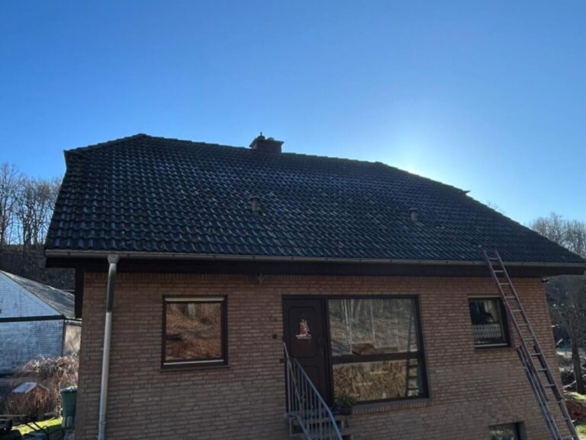 Vorher - Dachreinigung und -imprägnierung in Hainichen 2