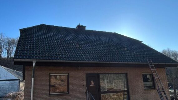 Dachreinigung Hainichen