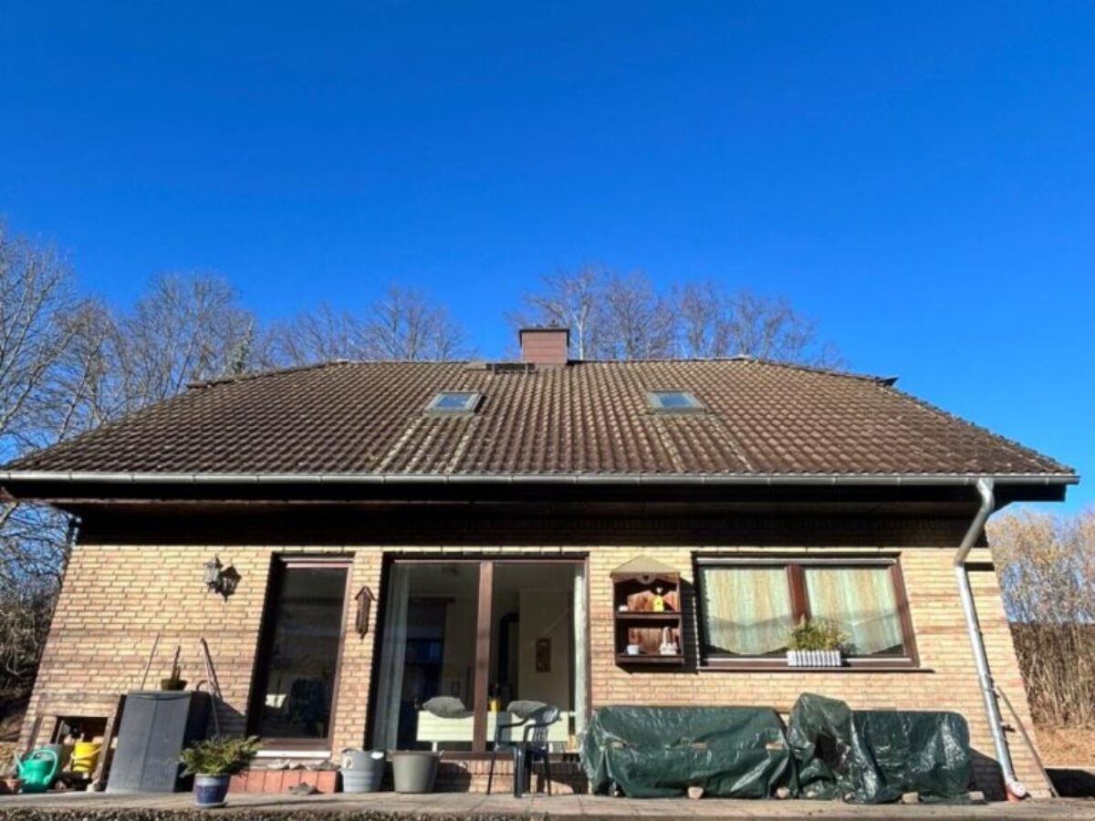 Vorher - Dachreinigung und -imprägnierung in Hainichen